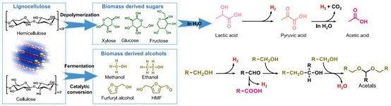 光催化木质纤维素衍生化学品转化和制氢路线